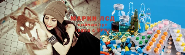 тгк Арсеньев