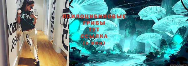 тгк Арсеньев