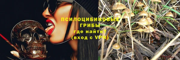 тгк Арсеньев